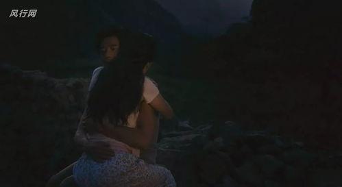 国产大毛片,揭秘中国电影市场的独特魅力  第2张