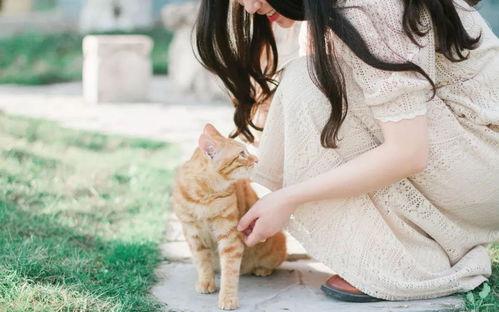 国产双飞任你爽,畅享极致视听盛宴  第3张